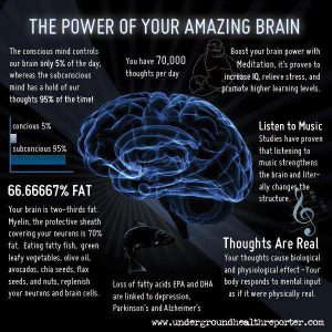 Your Amazing brain's functionality